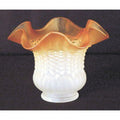 Tulipa ambre Ref. WC1097CD00 codi 21002080 Magazzino